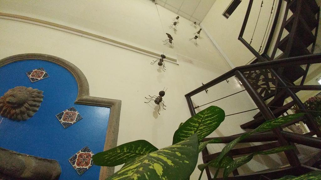 Hotel Armonia Hostal Сан-Сальвадор Экстерьер фото